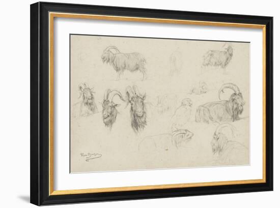 Dix études de chèvres, un mouton, un perroquet-Rosa Bonheur-Framed Giclee Print