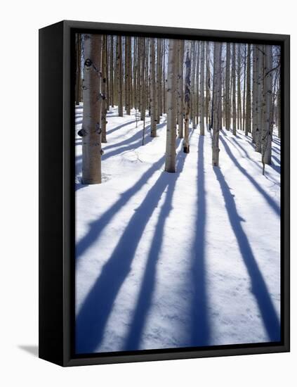 Dixie National Forest Aspen, Utah, USA-Charles Gurche-Framed Premier Image Canvas