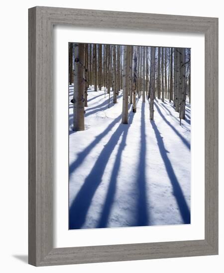 Dixie National Forest Aspen, Utah, USA-Charles Gurche-Framed Photographic Print