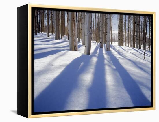 Dixie National Forest Aspens in Winter, Utah, USA-Charles Gurche-Framed Premier Image Canvas