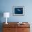 Djibouti, Bay of Tadjourah, A Whale Shark Swims Near the Surface in the Bay of Tadjourah-Fergus Kennedy-Framed Photographic Print displayed on a wall