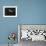 Djibouti, Bay of Tadjourah, A Whale Shark Swims Near the Surface in the Bay of Tadjourah-Fergus Kennedy-Framed Photographic Print displayed on a wall