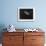 Djibouti, Bay of Tadjourah, A Whale Shark Swims Near the Surface in the Bay of Tadjourah-Fergus Kennedy-Framed Photographic Print displayed on a wall