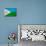 Djibouti Flag Design with Wood Patterning - Flags of the World Series-Philippe Hugonnard-Premium Giclee Print displayed on a wall