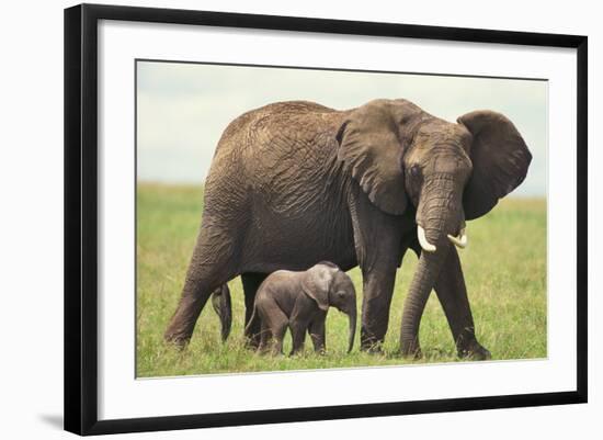 Photographic Print, , large