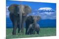 Photographic Print