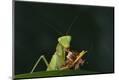 Premium Photographic Print