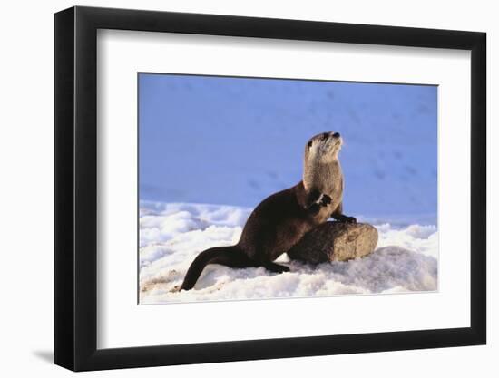 Photographic Print, , large
