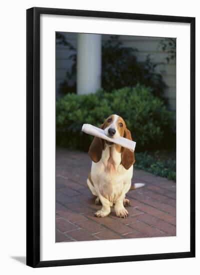 Photographic Print, , large