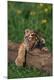 Photographic Print