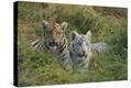 Stretched Canvas Print