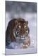 Premium Photographic Print