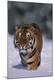 Premium Photographic Print