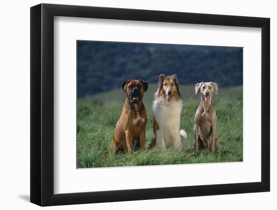 Photographic Print, , large