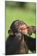 Premium Photographic Print