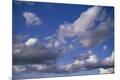 Photographic Print
