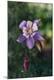 Premium Photographic Print