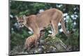 Photographic Print