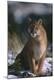 Premium Photographic Print