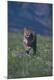 Premium Photographic Print