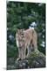 Premium Photographic Print