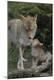 Photographic Print