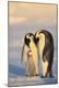 Premium Photographic Print