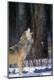 Premium Photographic Print