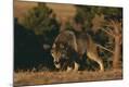 Premium Photographic Print