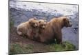 Photographic Print