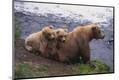 Photographic Print