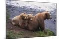 Photographic Print