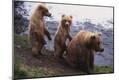 Photographic Print