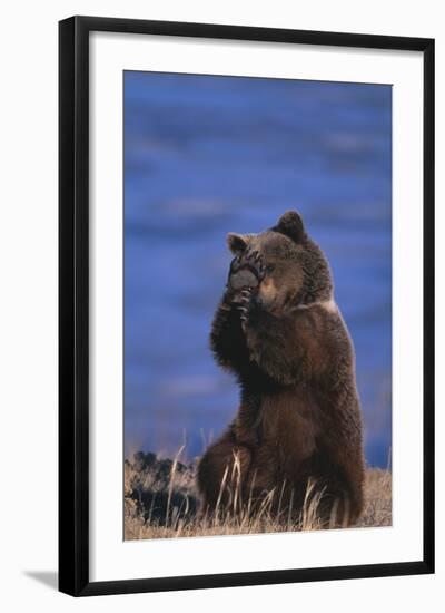 Photographic Print, , large