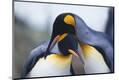 Premium Photographic Print
