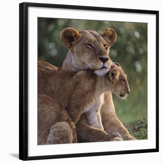 Photographic Print, , large