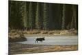 Premium Photographic Print