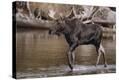 Stretched Canvas Print