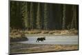 Premium Photographic Print