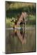 Premium Photographic Print