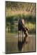 Premium Photographic Print