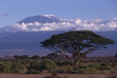 Mount Kilimanjaro-DLILLC-Photographic Print