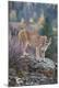 Premium Photographic Print