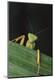 Premium Photographic Print