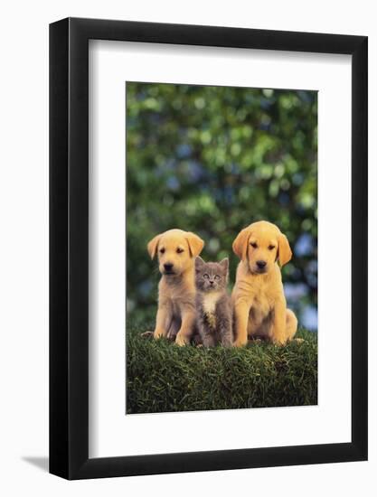 Photographic Print, , large