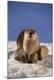 Premium Photographic Print
