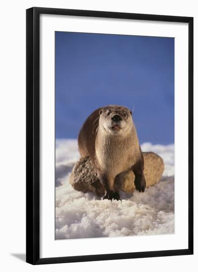 Photographic Print, , large