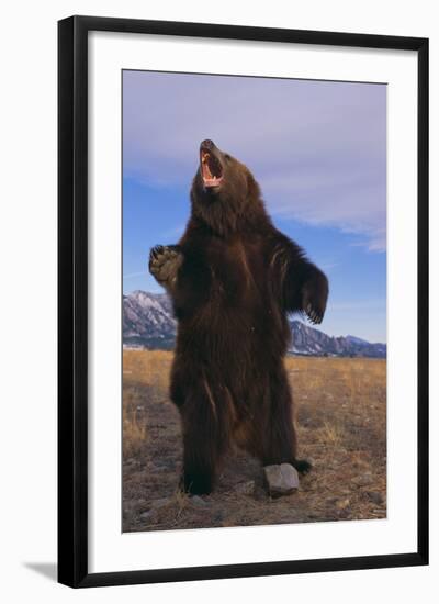 Photographic Print, , large