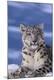 Premium Photographic Print