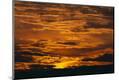 Premium Photographic Print